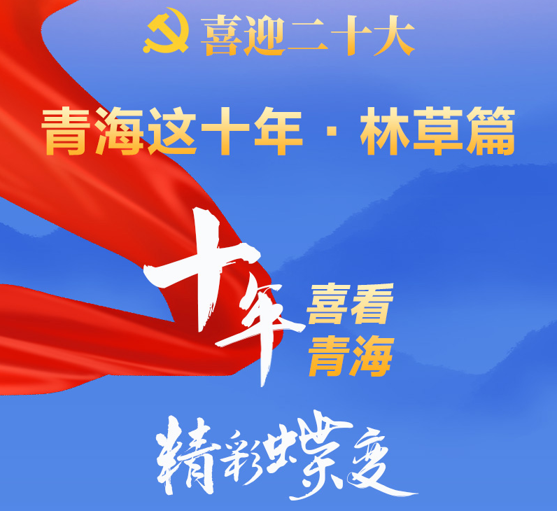 【喜迎二十大】青海這十年·林草篇