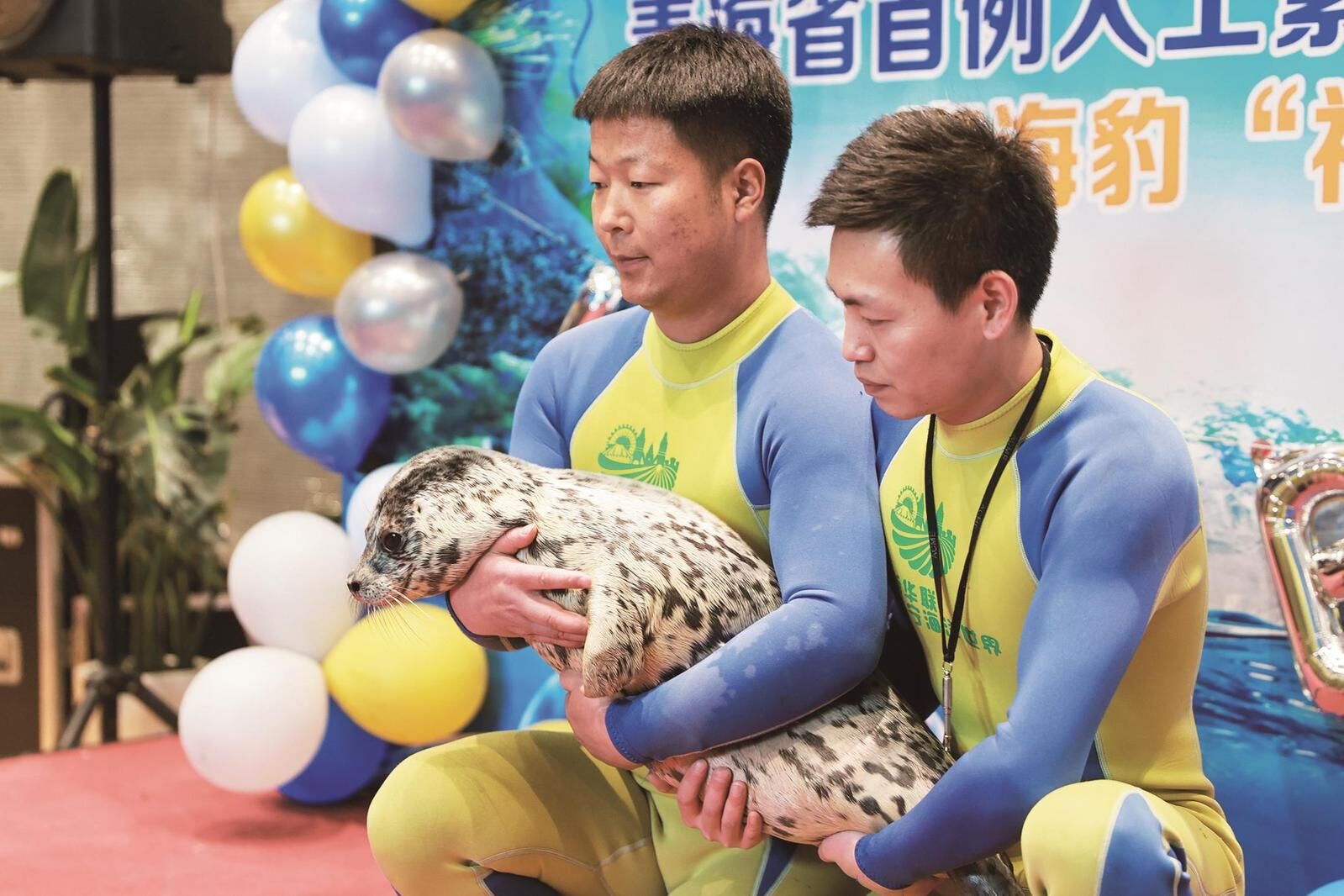 QQ圖片20250315062057