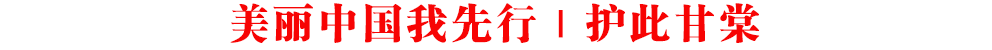 ЇУo˸