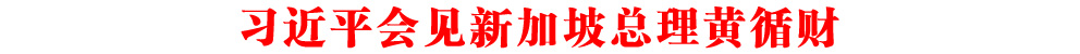 習(xí)近平會(huì)見新加坡總理黃循財(cái)