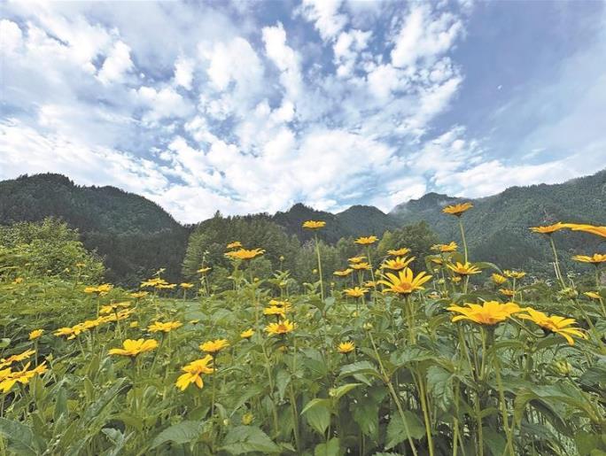 東旭晨韻：高原桃源入畫來