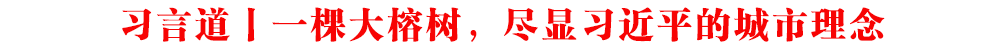 習言道丨一棵大榕樹，盡顯習近平的城市理念