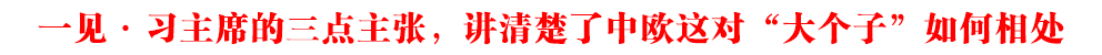 一見·習(xí)主席的三點主張，講清楚了中歐這對“大個子”如何相處